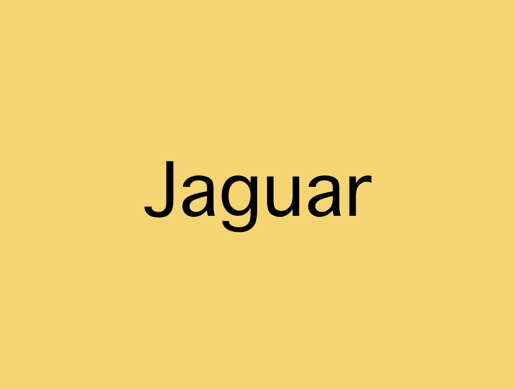 Jaguar